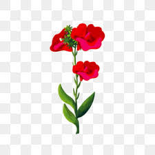 Trumpet Flowers Png Images Vector And Psd Files Free Download On Pngtree