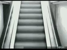 Meme generator, instant notifications, image/video download, achievements and many more! Escalator Gifs Tenor