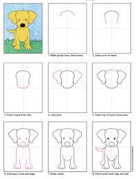 How To Draw A Labrador Dog Art Projects For Kids Dog Art Projects Kids Art Projects Drawing For Kids