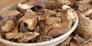 Or, place on a clean plate in front of a gently blowing fan. Drying Magic Shrooms Trufflemagic Fresh Truffles Grow Kits