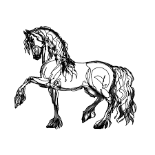 Disclaimer alle afbeeldingen mogen gebruikt worden. Leuk Voor Kids Paarden 0023