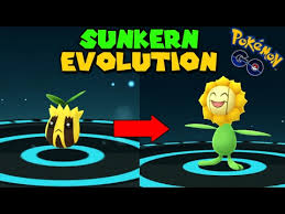 evolving sunkern to sunflora pokemon go gen 2 evolution