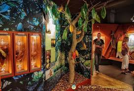 Paris Chocolate Museum Musee Gourmand Du Chocolate Paris Museum Paris Vacation Paris Attraction Paris