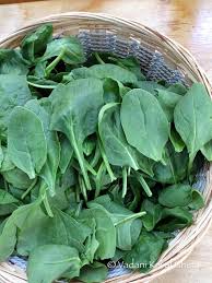To the right of this photo are four. Leafy Vegetables Pictures