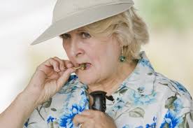 It's time to harvest cholla buds