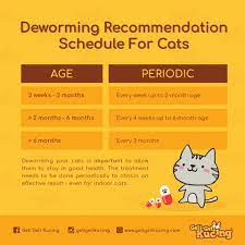 Antara ubat cacing yang boleh anda gunakan kepada kucing kesayangan anda adalah seperti berikut : Jadual Ubat Cacing Kucing Geli Geli Kucing Ipoh Facebook