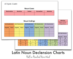 Latin Noun Declension File Folder Games Cues Printables