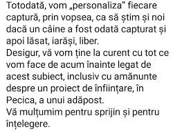 Caz È™ocant La Arad Cainii Vagabonzi VopsiÈ›i DupÄƒ Capturare VopsiÈ›i I In RoÈ™u Albastru Va Fi Alb Albastru Antena 1