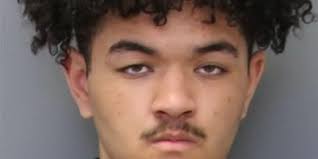 UPDATE: Student Who Brought Marijuana-Infused Brownies and Gun to School  Indicted as Adult