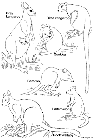 Australia # 5 coloring pages. Printable Australian Animals Coloring Pages