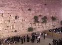 Resultado de imagem para live kotel free cam