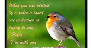 Birds Outside My Window Meme Robin Fridge Magnet New 1 Robin Redbreast Loved One Ebay Loved One In Heaven First Love Losing A Pet