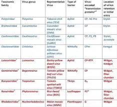 What Is The Name Of 20 Harmful Microorganisms With The