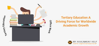 • experienced lpn with 9+ years' extensive experience in creating and implementing core medical care programs by charting out the. The Fundamentals Of Tertiary Education Myassignmenthelp Com