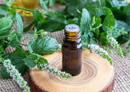 Some of the properties in this oil such as sedative, antispasmodic, astringent, and nervine can be beneficial for alleviating back pain  15, 16 . Essential Oils For Back Pain Wholesale Essential Oils Aromaeasy