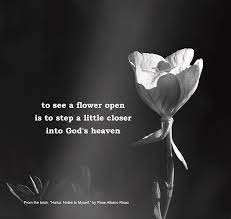 Check spelling or type a new query. Haiku Notes To Myself Photograph By Rose Albano Risso