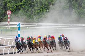 Maybe you would like to learn more about one of these? 8 1 2æˆç¸¾ ã•ã‚å¤ã  ã‚¹ã‚¿ãƒ¼ãƒˆãƒ€ãƒƒã‚·ãƒ¥ å‹è² ãƒ¬ãƒ¼ã‚¹ é¦¬é€£4ç‚¹çš„ä¸­ã  ç«¶é¦¬äºˆæƒ³ã®ã‚­ãƒ³ã‚°ã‚¹ãƒãƒ¼ãƒ„