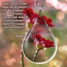 Guzeli Seyredeyim Mutlu Dusunceler Ilham Verici Sozler Mutluluk Sozleri
