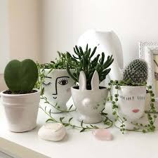 Our indoor plant pots come in a variety of sizes, shapes and colors to match any room. Indoor Plant Pots How To Pick A Pot For Your Plant And Your Home My Tasteful Space