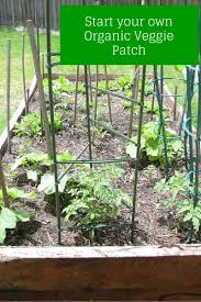 Want to start an organic vegetable garden? How To Start Your Own Organic Veggie Patch Living Safe