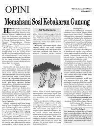 Kebakaran hutan menyebabkan hutan dilanda api sehingga membuat hutan lenyap dimakan api. Contoh Artikel Contoh Artikel Opini Tentang Kebakaran Hutan