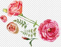 Maybe you would like to learn more about one of these? Lukisan Bunga Mawar Merah Dan Pink Buket Bunga Mawar Ilustrasi Mawar Cat Air Lukisan Cat Air Cat Air Daun Lainnya Png Pngwing