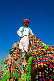Upload, livestream, and create your own videos, all in hd. Camels Camels More Camels Travel Photographer Kimberley Coole Photography Portfolio Desert Festival Ceremonial Clothing