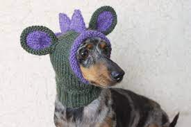 Knitting Pattern Doxie Dinosaur Hat Dog Hat Small Dog Hat Etsy Dog Snood Dachshund Hat Dog Hat