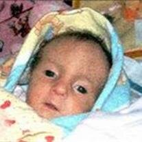 Amelia Beebe's Instagram, Twitter & Facebook