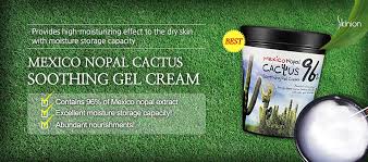 Mexico nopal cactus 96% contains 48.5% of fibre, contains calcium 8 times more than anchovy, contains vitamin c five times more 5. Qoo10 Bringing The Best To You