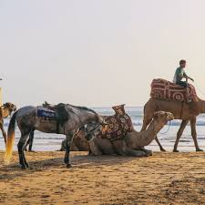 I see my friends every day. Gobeyond Surf Trip Surf Camp Morocco