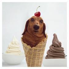 Dachshund Flavored Icecream Cone Dachshund Lovers Weenie Dogs Dachshund Dog