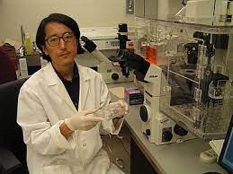 Ucr Scientist Finds Way To Keep Stem Cells Alive – Press Enterprise
