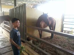 Berikut adalah beberapa aktiviti yang telah dijalankan oleh sekolah bagi sepanjang tahun 2010. Kedai Vitamin Sylvia Cowboy Town Tuaran Tempat Rekreasi Seisi Keluarga