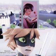 I Would Want A More Dramatic Reveal I M All For A Big Show Miraculous Ladybug Comic Miraculous Ladybug Memes Miraculous Ladybug Funny