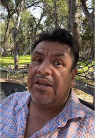 Exploring the World of Light Beers