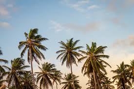 Maybe you would like to learn more about one of these? Haiti Reisetipps Beste Reisezeit Wetter Mehr