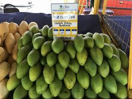 Check spelling or type a new query. Cara Kenal Jenis Jenis Buah Mangga Yang Popular Dan Laris Di Malaysia Some Bullet For Your Head