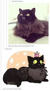 Princess Monster Truck Cute Animals Cute Funny Animals Cute Baby Animals