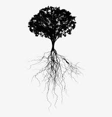 To that we can add all the trees that people have brought here from elsewhere and planted where conditions are similar enough for the trees to thrive. Tree With Deep Roots Silhouette Tree Silhouette Root Png Free Transparent Png Download Pngkey