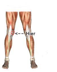 Die stetigen belastungen, denen die gelenke in den beinen unterliegen, sind immens. Schlimme Knie Schmerzen Was Konnte Das Sein Siehe Bild Danke