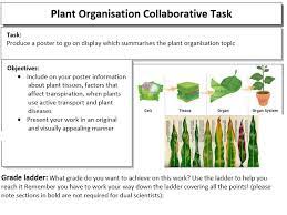 We did not find results for: New Aqa Plant Organisation Collaborative Poster Task Teaching Resources