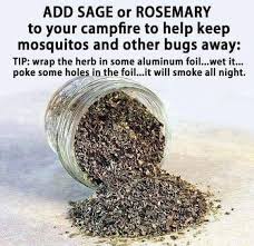 Don't forget to cover your baby's crib with mosquito netting also. Add Sage Or Rosemary To Your Campï¬re To Help Keep Mosquitos And Other Bugs Away Tip Wrap The Herb In Some Aluminum Foil Wet It Poke Some Holes In The Fcil It Will