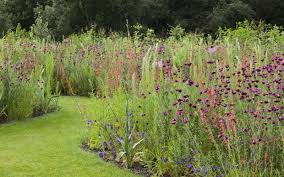 der gartendesigner tom stuart smith hat sein know how genutzt um eine exotische beste garten dekoration wiesengarten wildblumenwiese garten