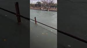 Ganga Maiya Mein Jab Tak Ye Pani Rahe Mere Sajna Teri Zindagani Rahe Youtube Ganga maiya me jb tk pani the mere sjna teri zindgani thejay ganga maiya. youtube