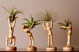 Small Plant Gift For Plant Lover X2 Air Plant Holder With Living Plants Handmade Planter Indoor Planter Housewarming Gift For Woman Planter Pots Indoor Handmade Planter Air Plants