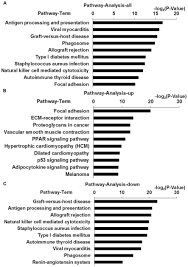 Microarray Analysis Of Differentially Expressed Genes And