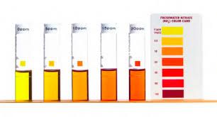 Rising Damp An Update For 2015 Building Defect Analysis