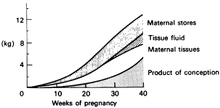 Physiology Of Pregnancy Glowm