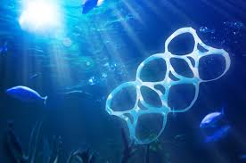 Image result for ocean and pollution
